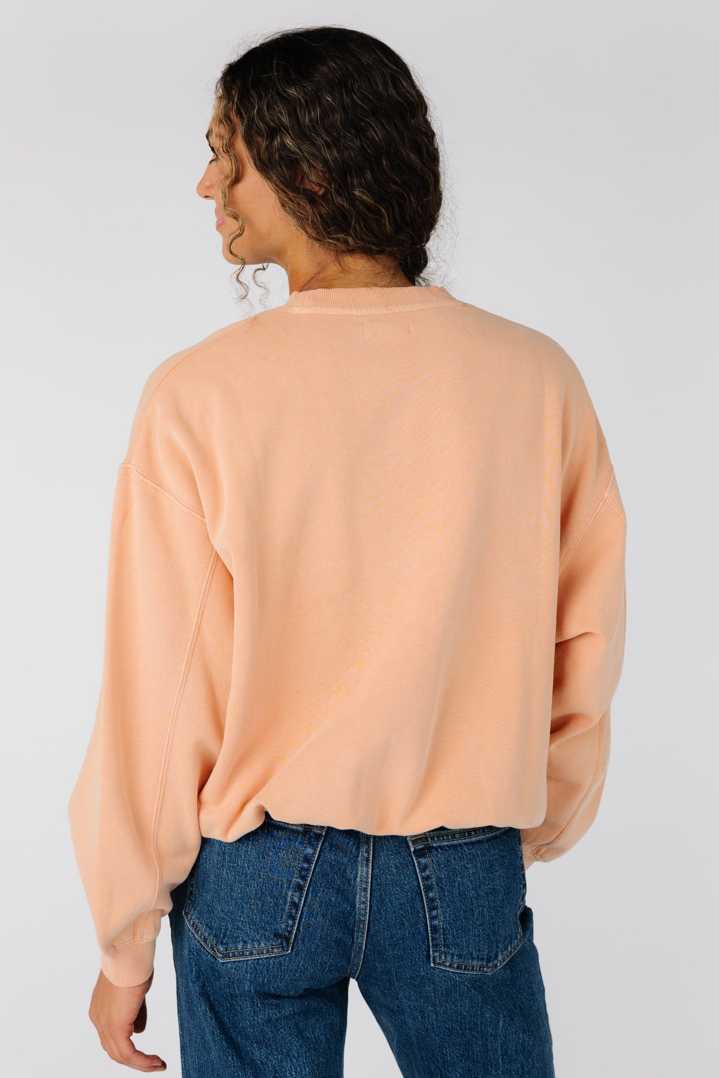 Back view of Billabong Palmin Kendal Crewneck Sweatshirt ABJFT00456