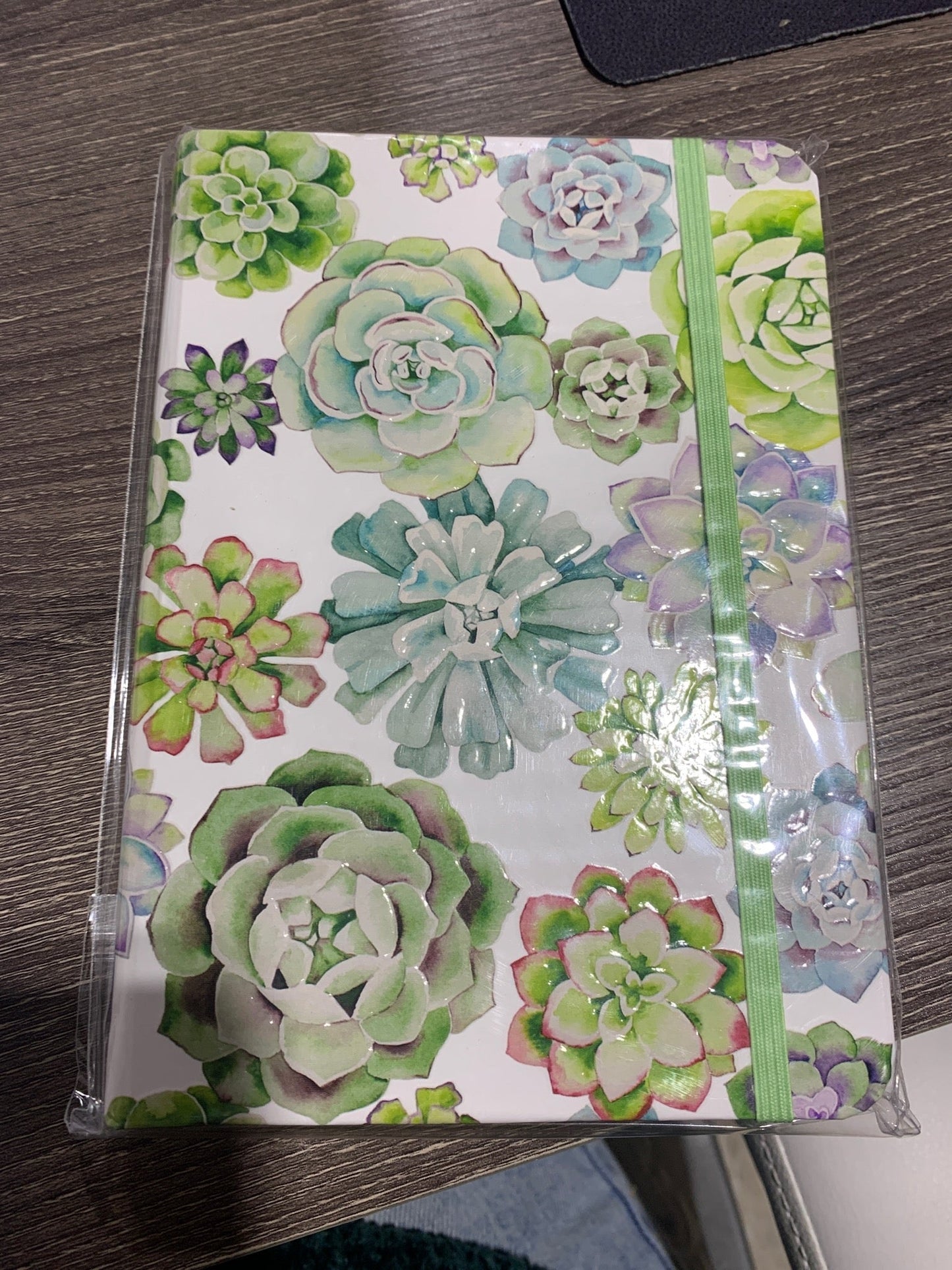Succulent Garden Journal - OS - Green JOURNALS Peter Pauper Press