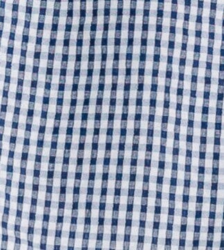 Navy and white gingham fabric swatch.