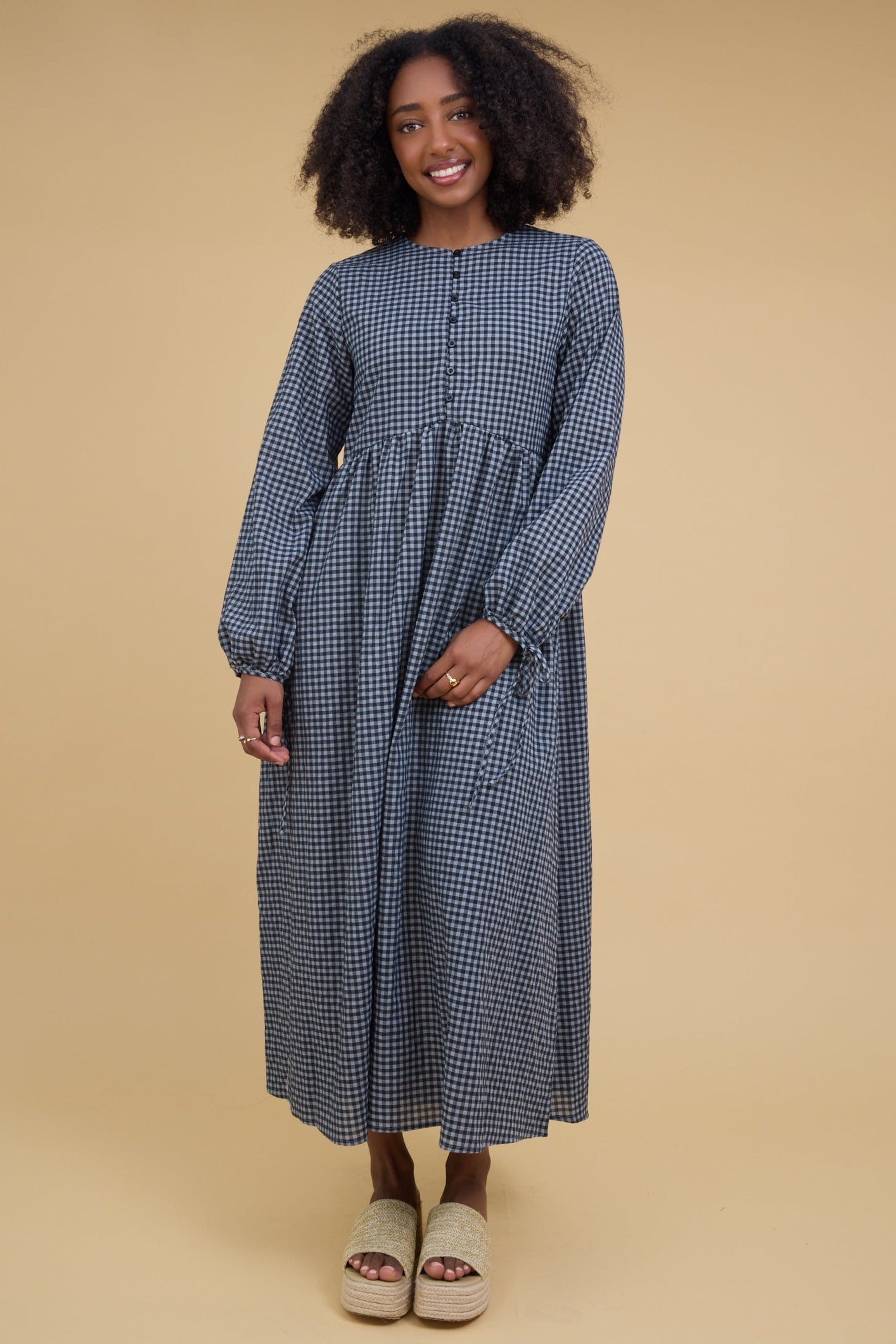 Brass & Roe The Modest Ana Gingham Dress