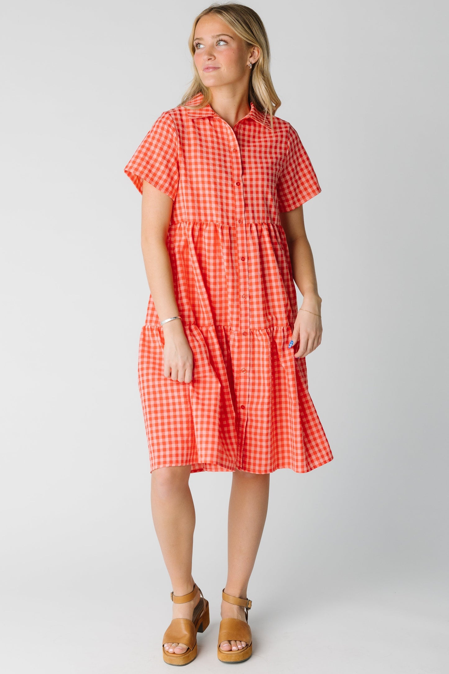 Modest knee length gingham dress with pointed collar and short sleeves