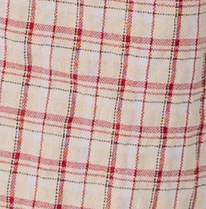 Francine Checkered Top -Red