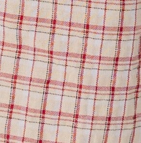 Francine Checkered Top -Red WOMEN'S TOP Things Between