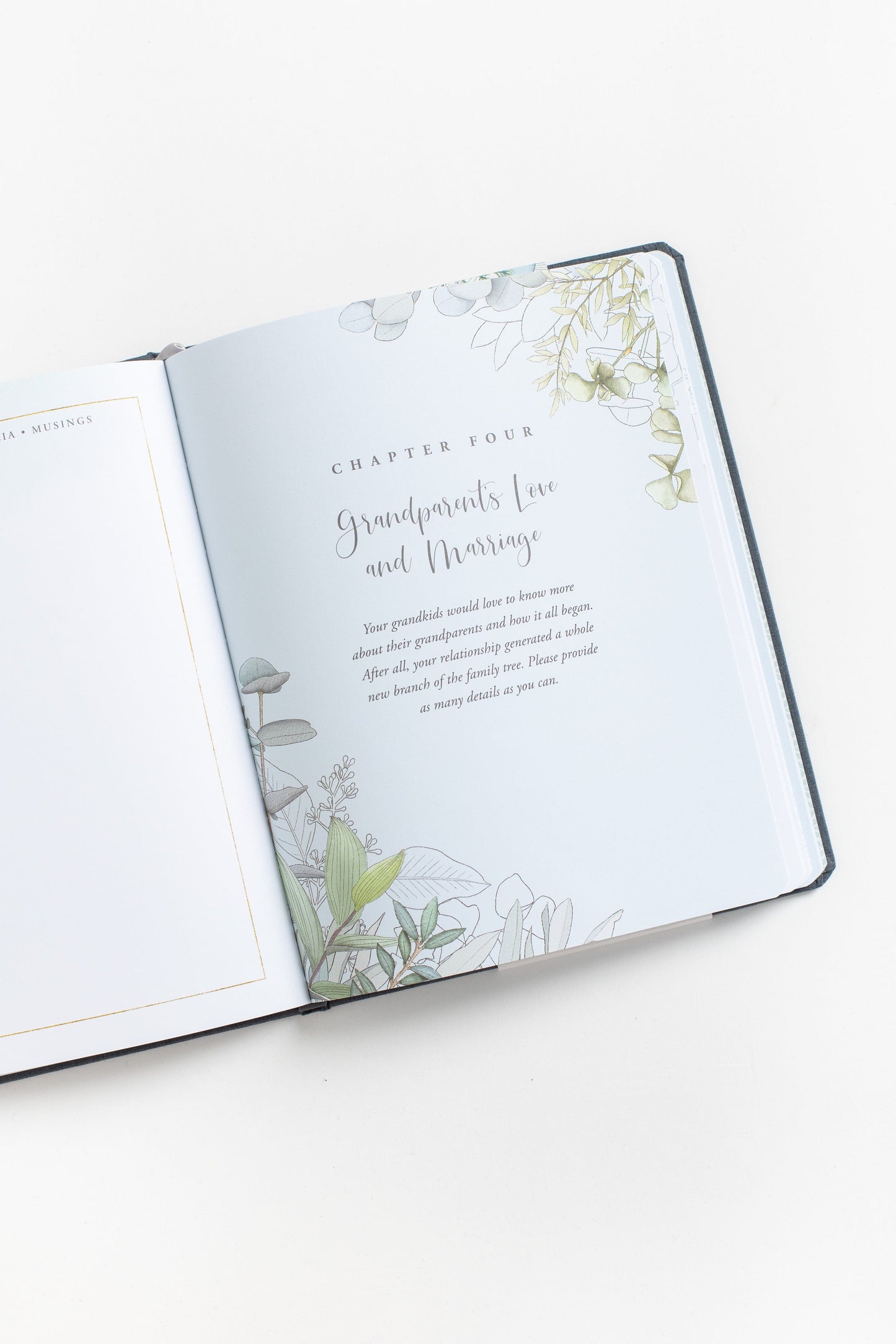 Memories For Grandchild - Journal JOURNALS Peter Pauper Press
