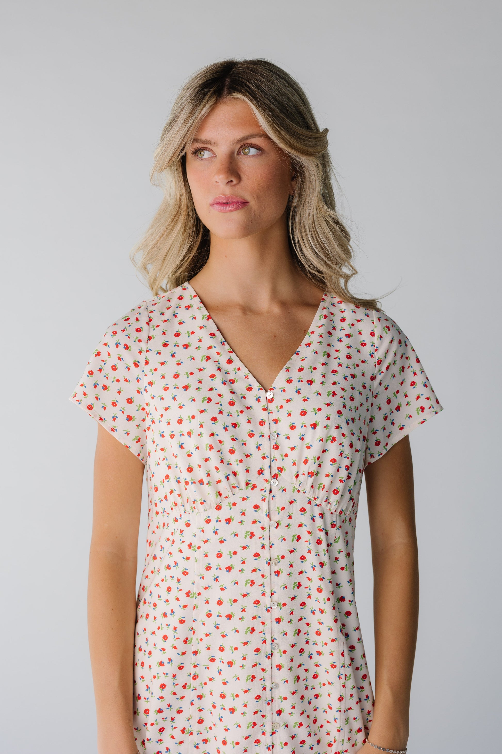 Brass & Roe Cherry Pie Button Down Dress WOMEN'S DRESS brass & roe 