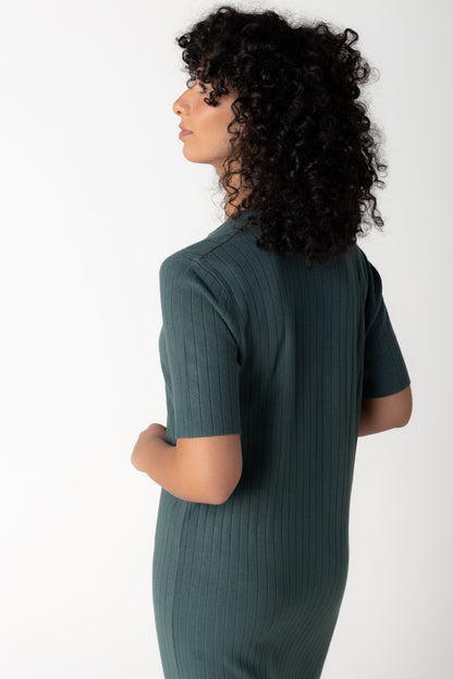 Back view of dark sage knit dress with short sleeves