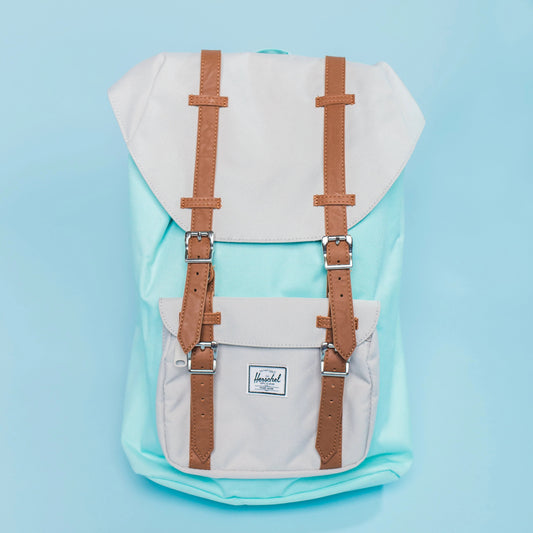 Herschel Little America Backpack - Blue Tint Blue Tint BACKPACK Called to Surf 