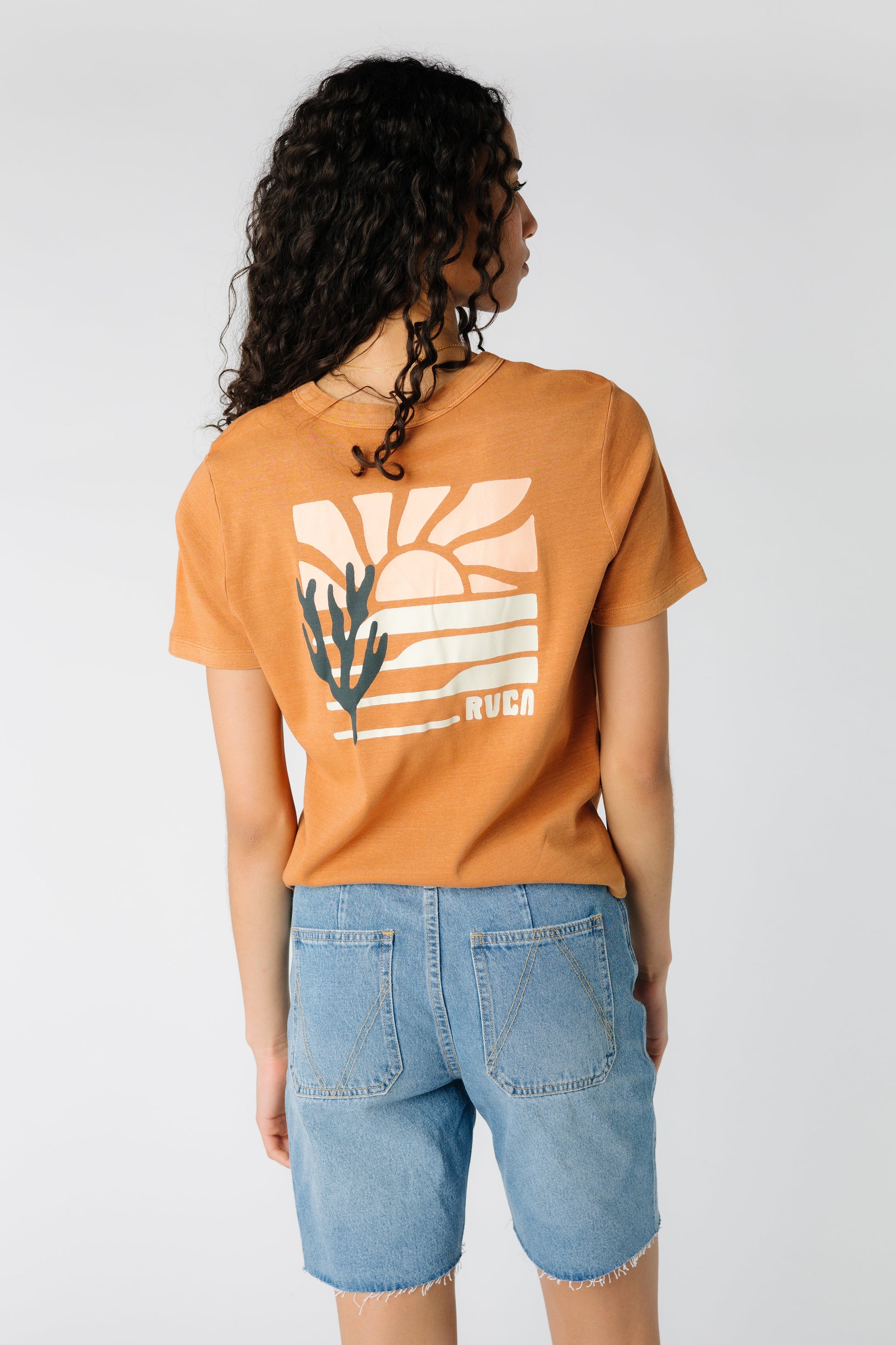 RVCA Daily Tee in rust with large back graphic AVJZT00919