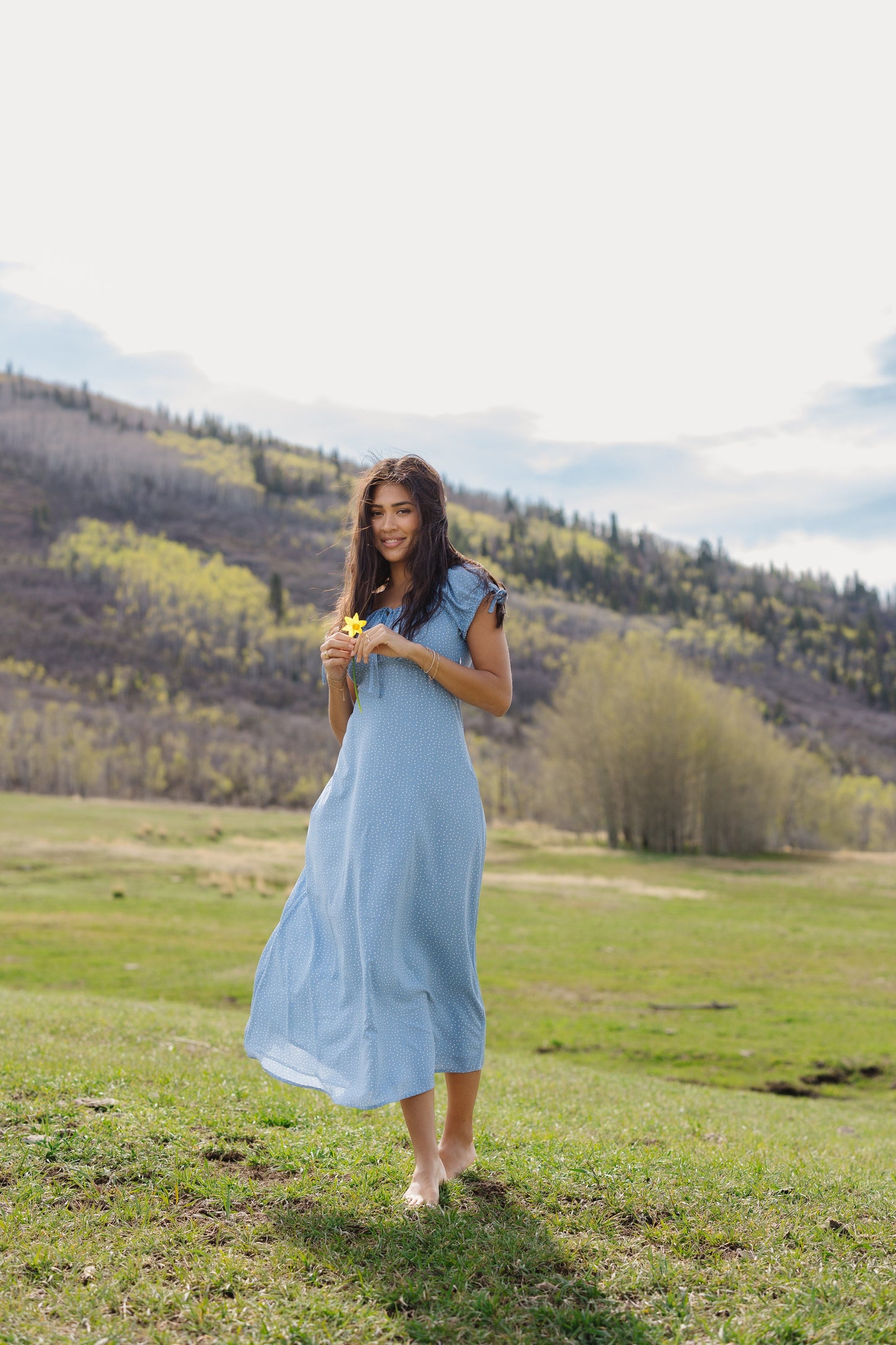 Brass & Roe Alani Dress WOMEN'S DRESS brass & roe 