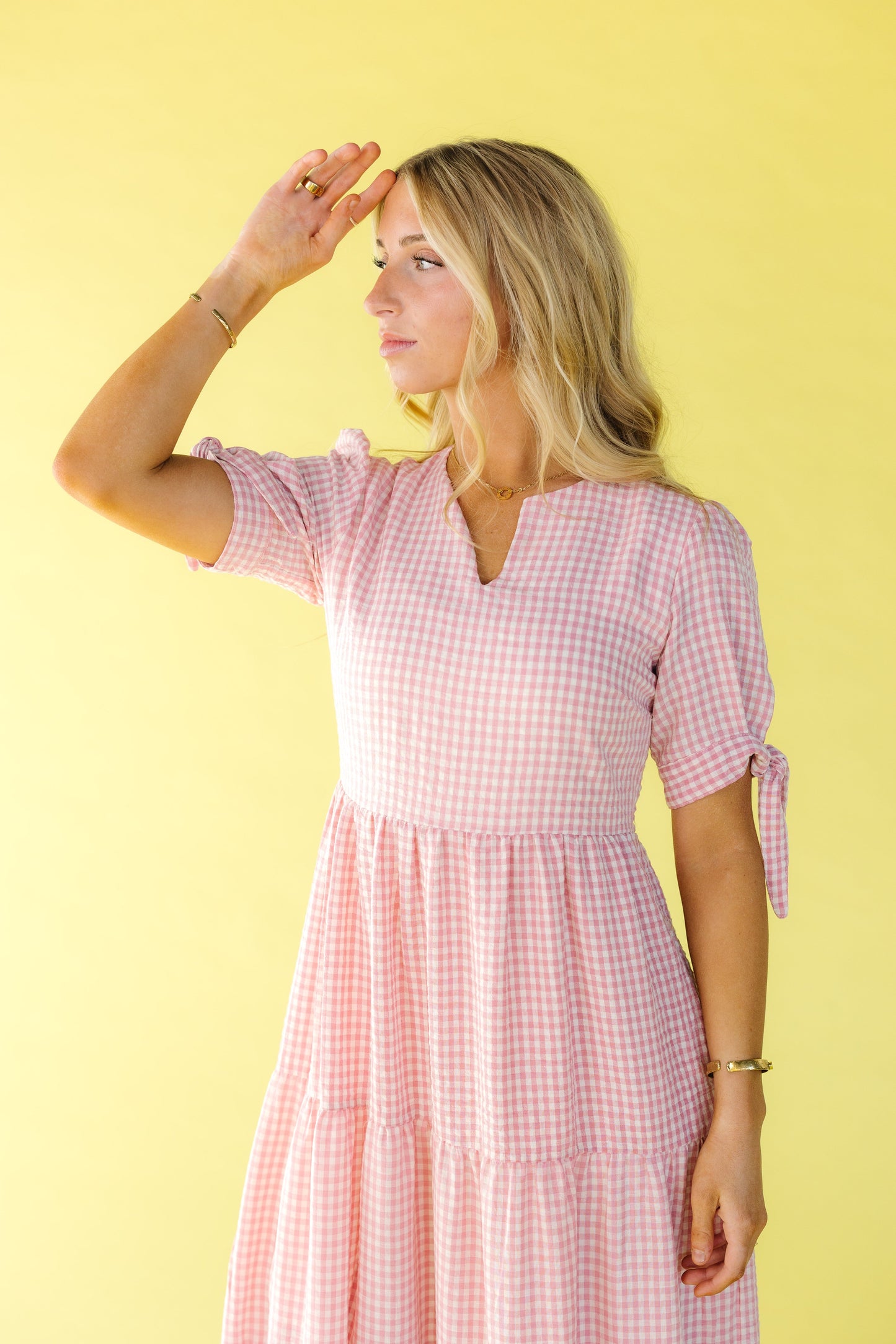 Brass & Roe Claire Tie Sleeve Dress Pink Gingham / L *FINAL SALE*