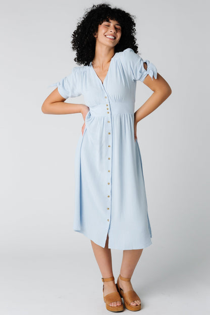 Brass and Roe modest button down dress with V-neckline