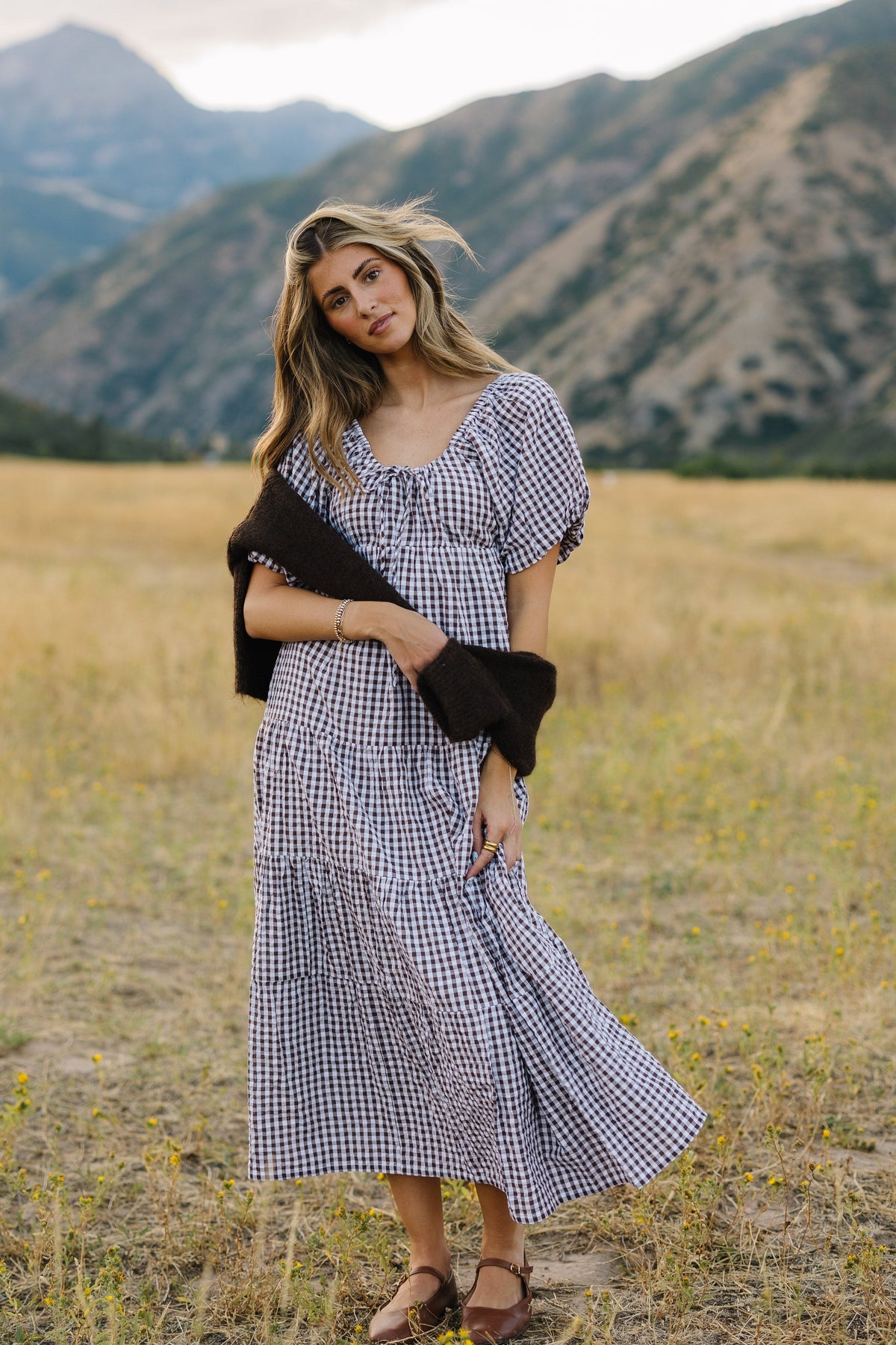 Citrus Lyon Tier Dress WOMEN'S DRESS Citrus Brown Gingham XXS 