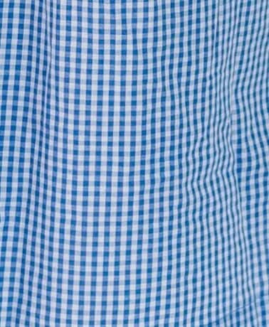 Blue and white gingham fabric swatch.