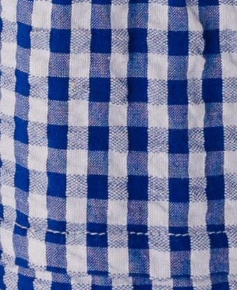 Citrus Shae Gingham Dress WOMEN'S DRESS Citrus 