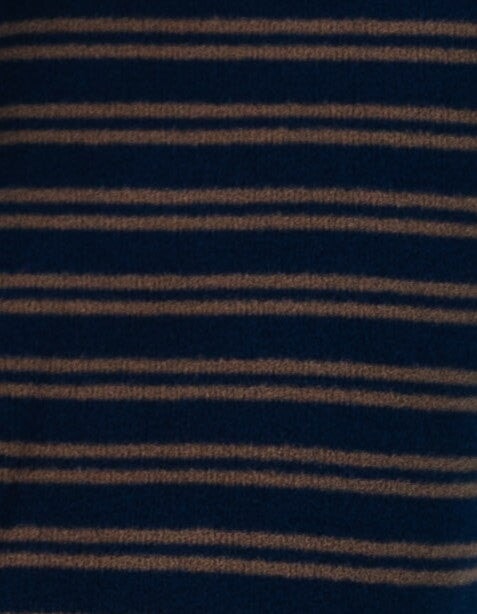 Blue and taupe double stripe fabric swatch