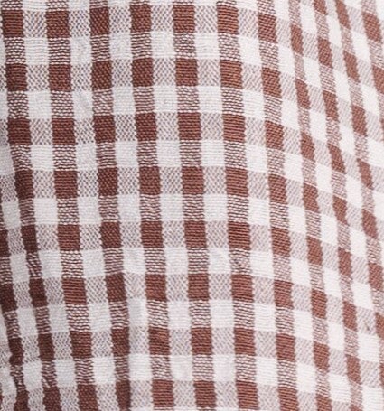 Brass & Roe Elmina Gingham Dress WOMEN'S DRESS brass & roe 