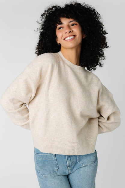 Oatmeal classic crewneck sweater