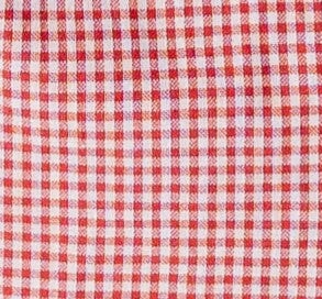 Scallop Edge Gingham Top WOMEN'S TOP Things Between 