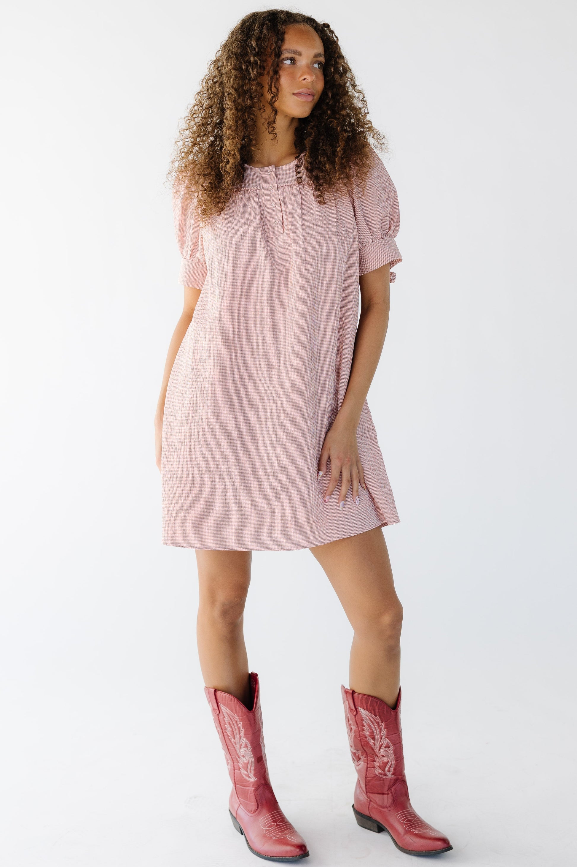 The Malorie Dress in tiny pink gingham for women and teen girls.