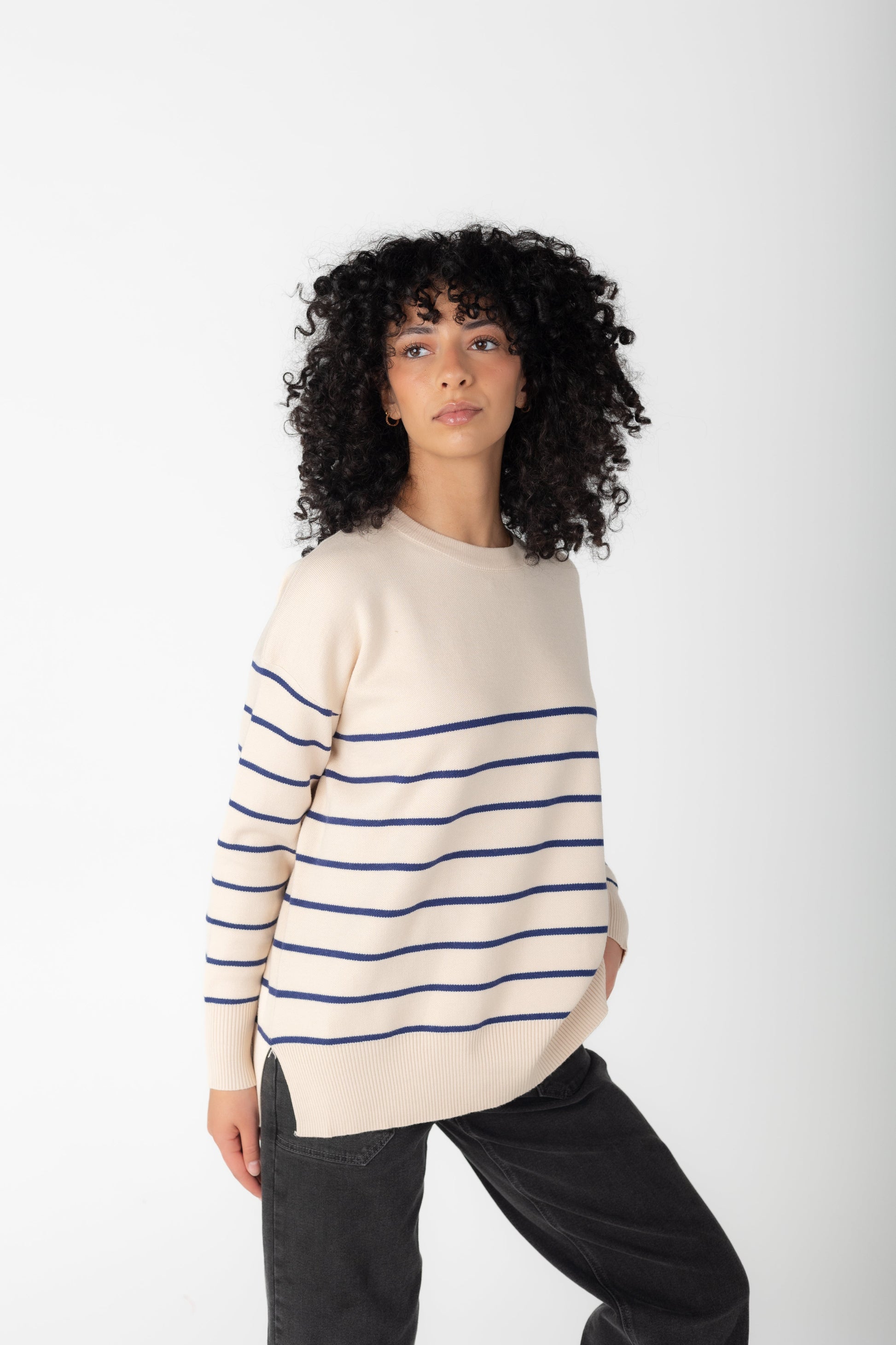 Audree Stripe Sweater WOMEN'S SWEATERS Tea N Rose 