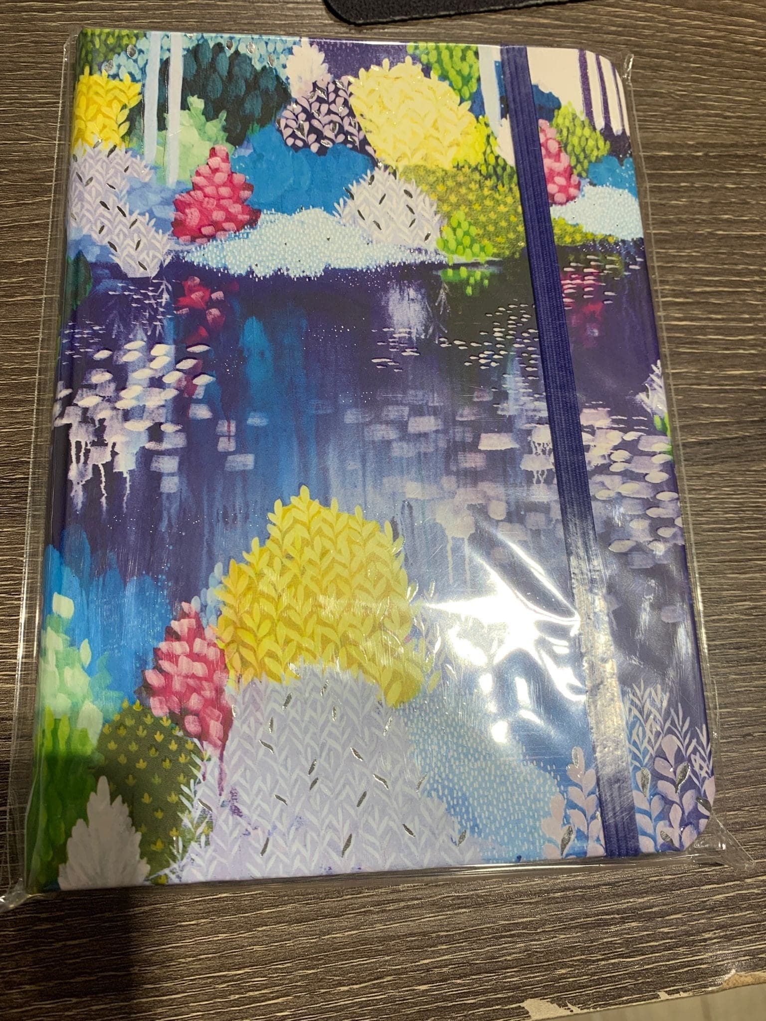 Reflections Journal - OS - Blue JOURNALS Peter Pauper Press 