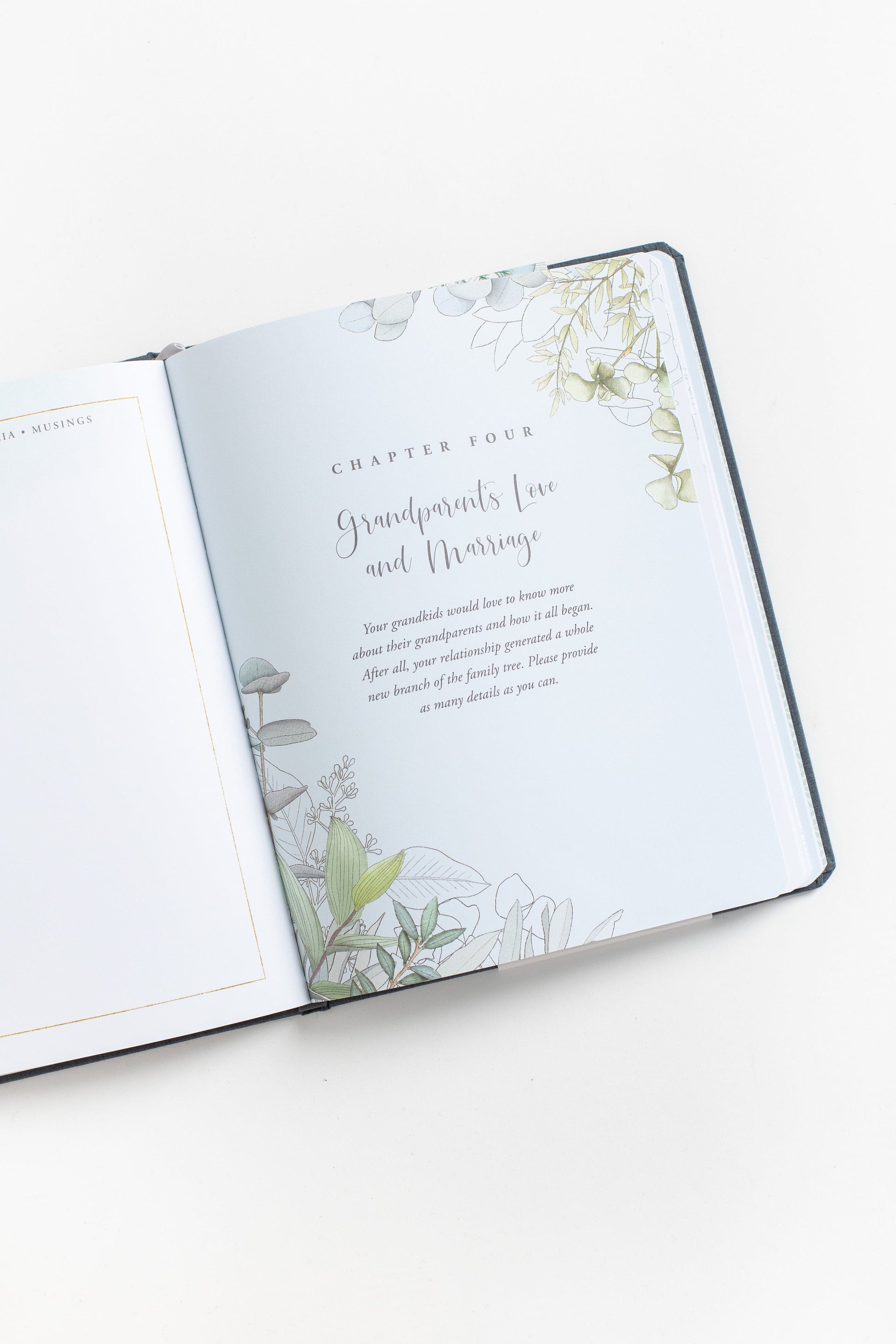 Memories For Grandchild - Journal JOURNALS Peter Pauper Press 